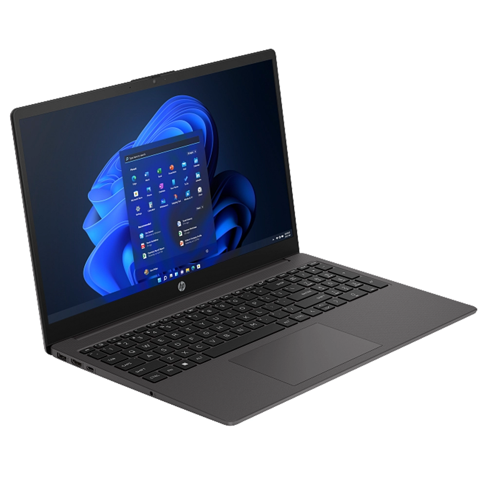 PORT HP 15.6" N100 250 FHD 8GB 256GB SSD W11H PRETO*